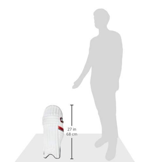 SS Test Opener Batting Leg Guards