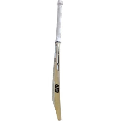 EM GT Elite Kashmir Willow Cricket Bat