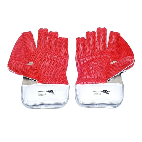SS Dragon Wicket Keeping Gloves
