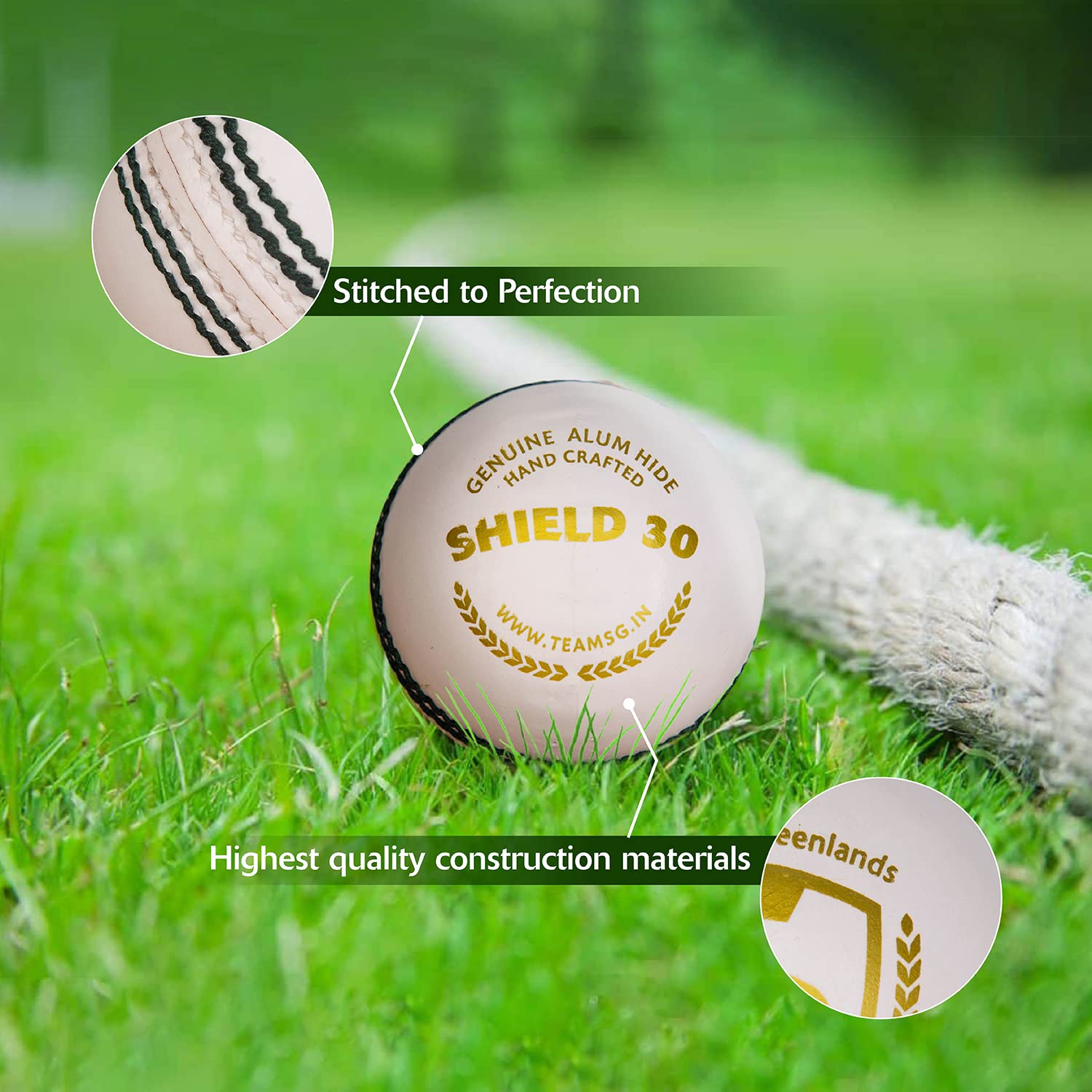 SG Shield 30 White Cricket Ball