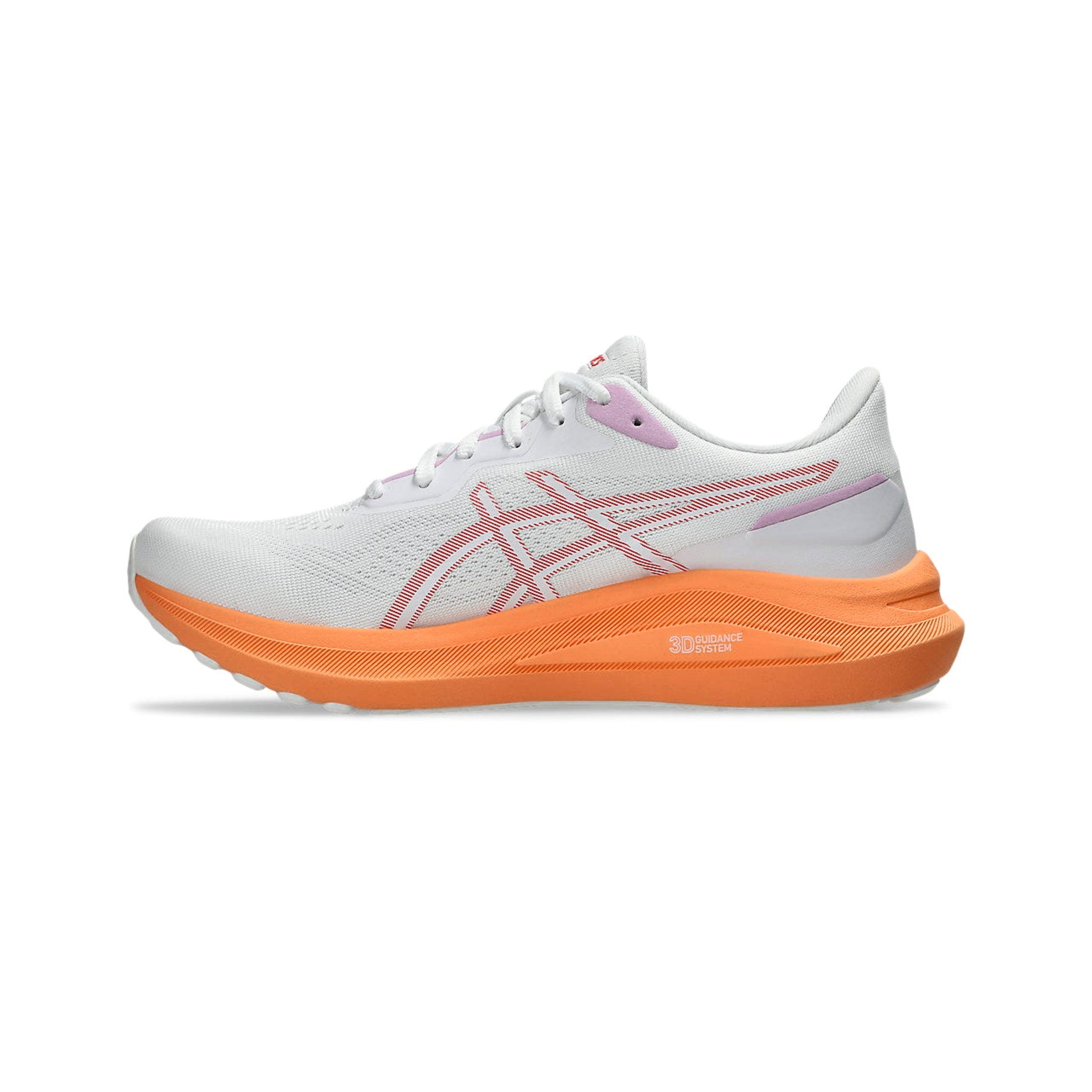 Asics GT 100 13 Jogging Shoes