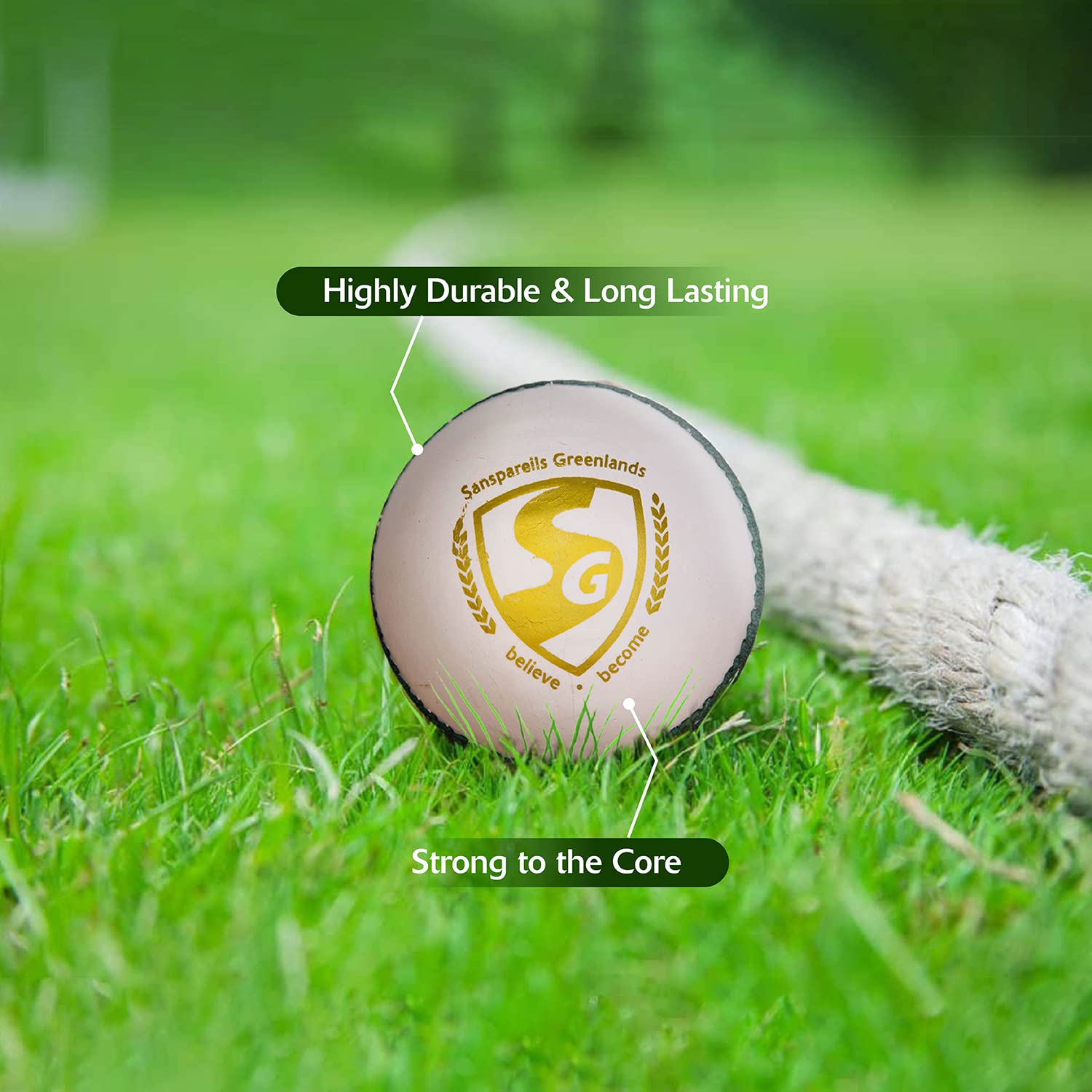 SG Shield 30 White Cricket Ball