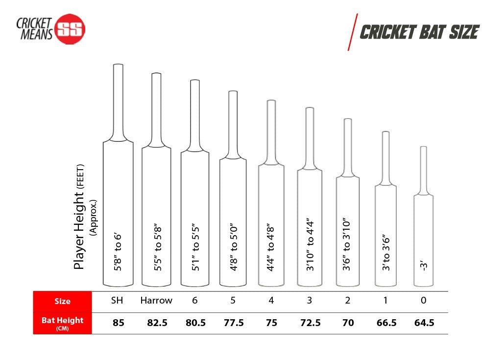 SS VA 900 Ruby Kashmir Willow Cricket Bat