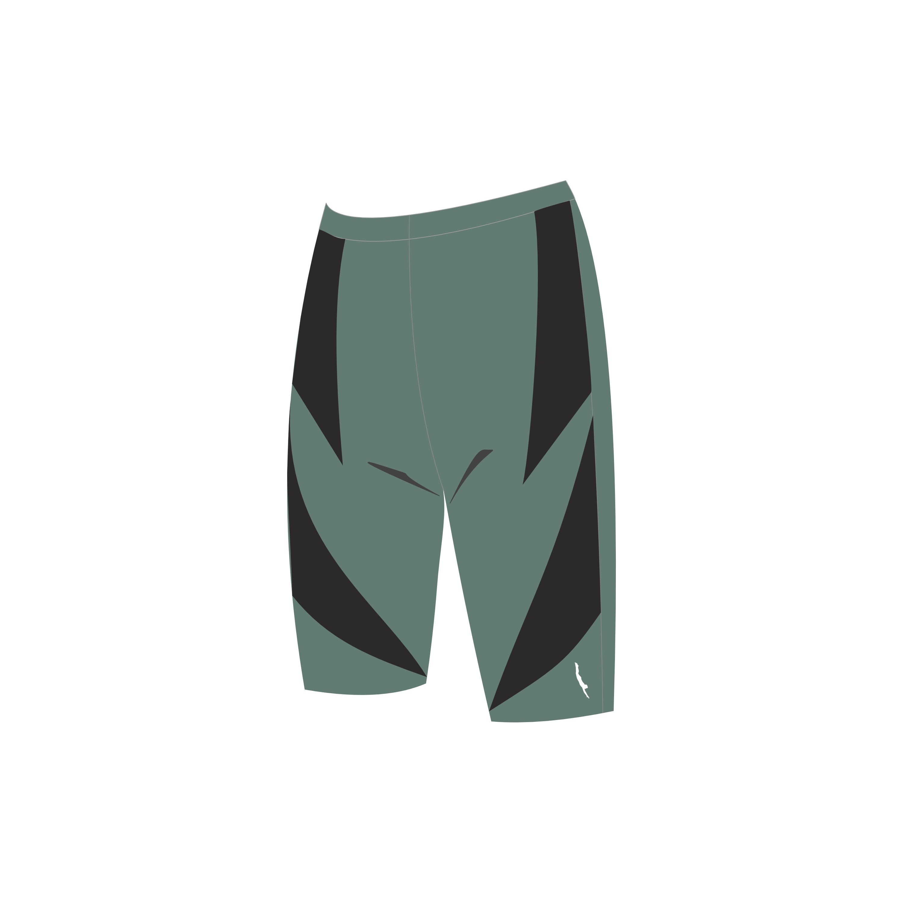 MSW- 01 Men's Jammers