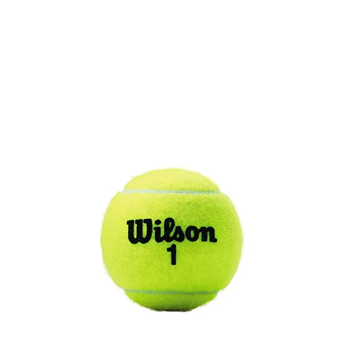 Tennis Ball Wilson Tour Premier