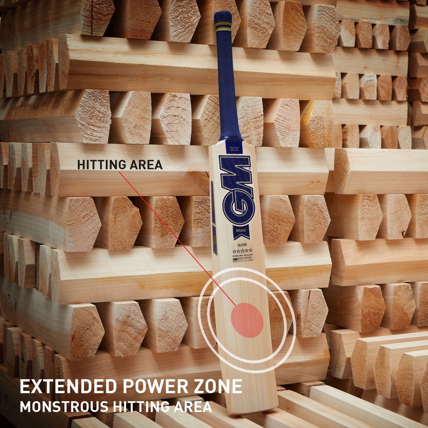 GM Brava 808 English Willow Cricket Bat