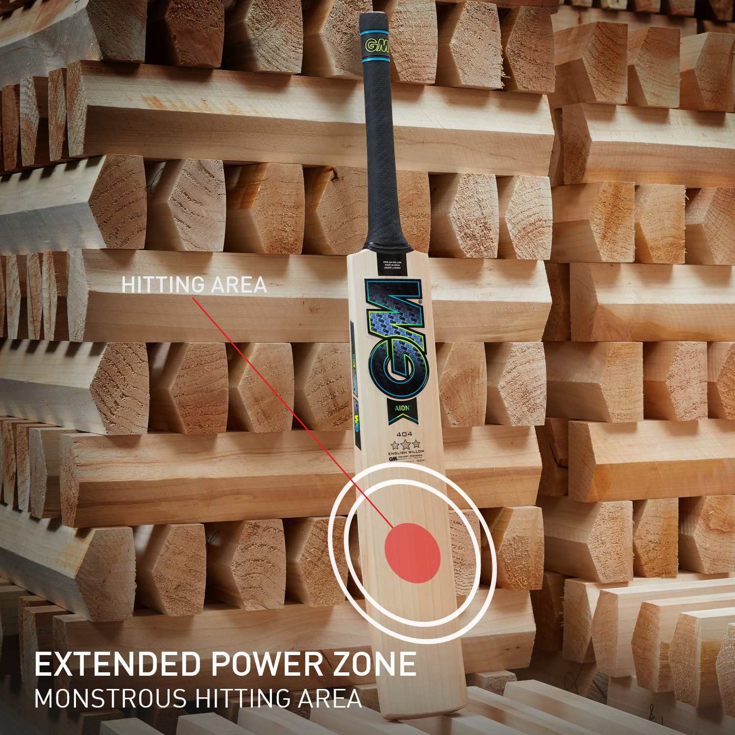 Willow face and grain lines on the GM Aion 404 cricket bat