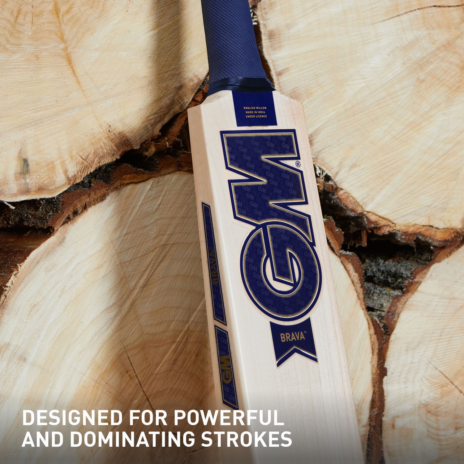 GM Brava 707 English willow bat resting beside a red leather cricket ball