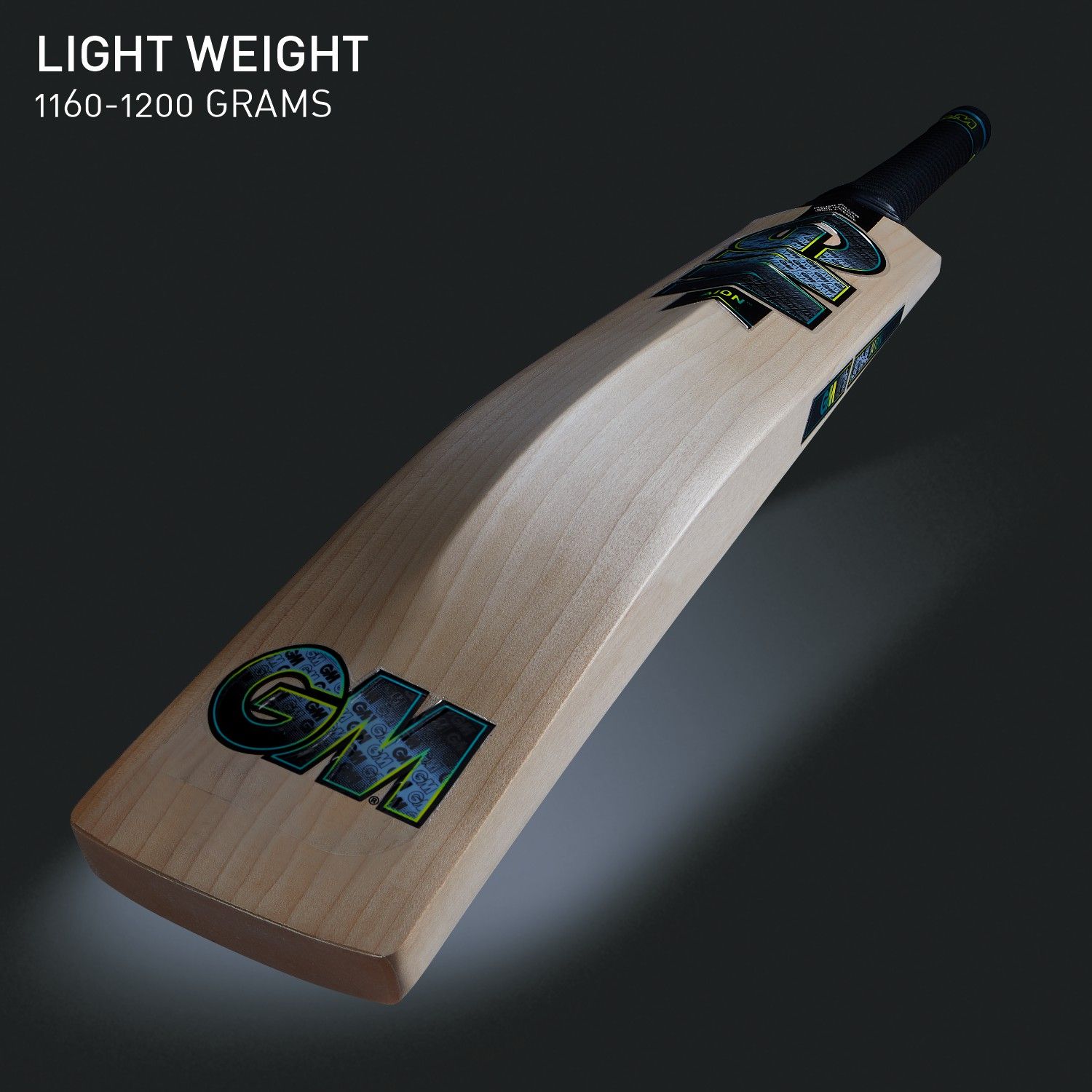 GM Aion 404 English Willow Cricket Bat