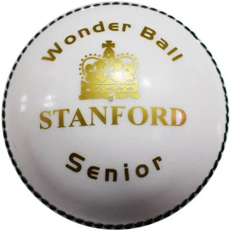 Close-up of the SF Wonder cricket ball showing its surface and branding