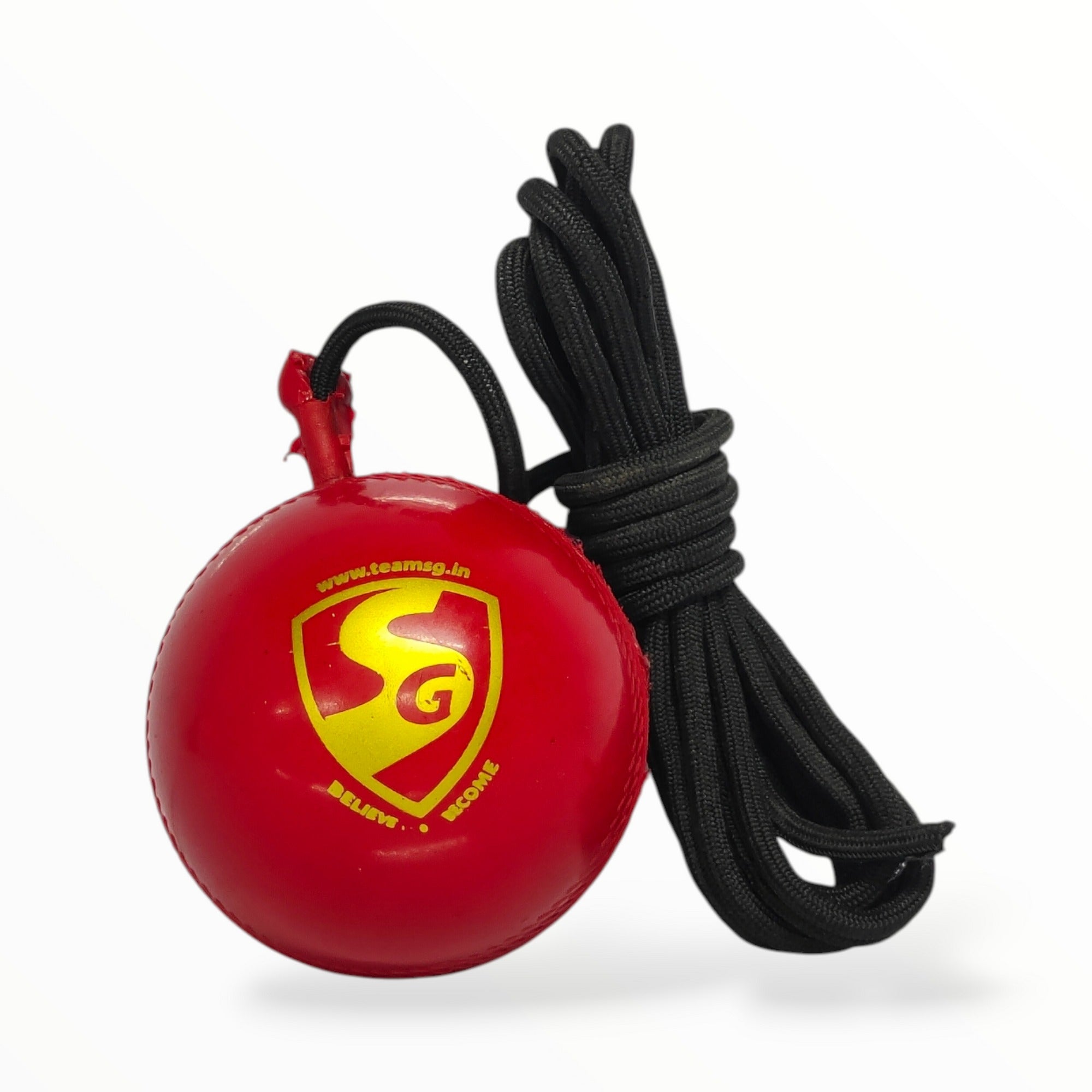 SG Cricket iBall with Cord training ball