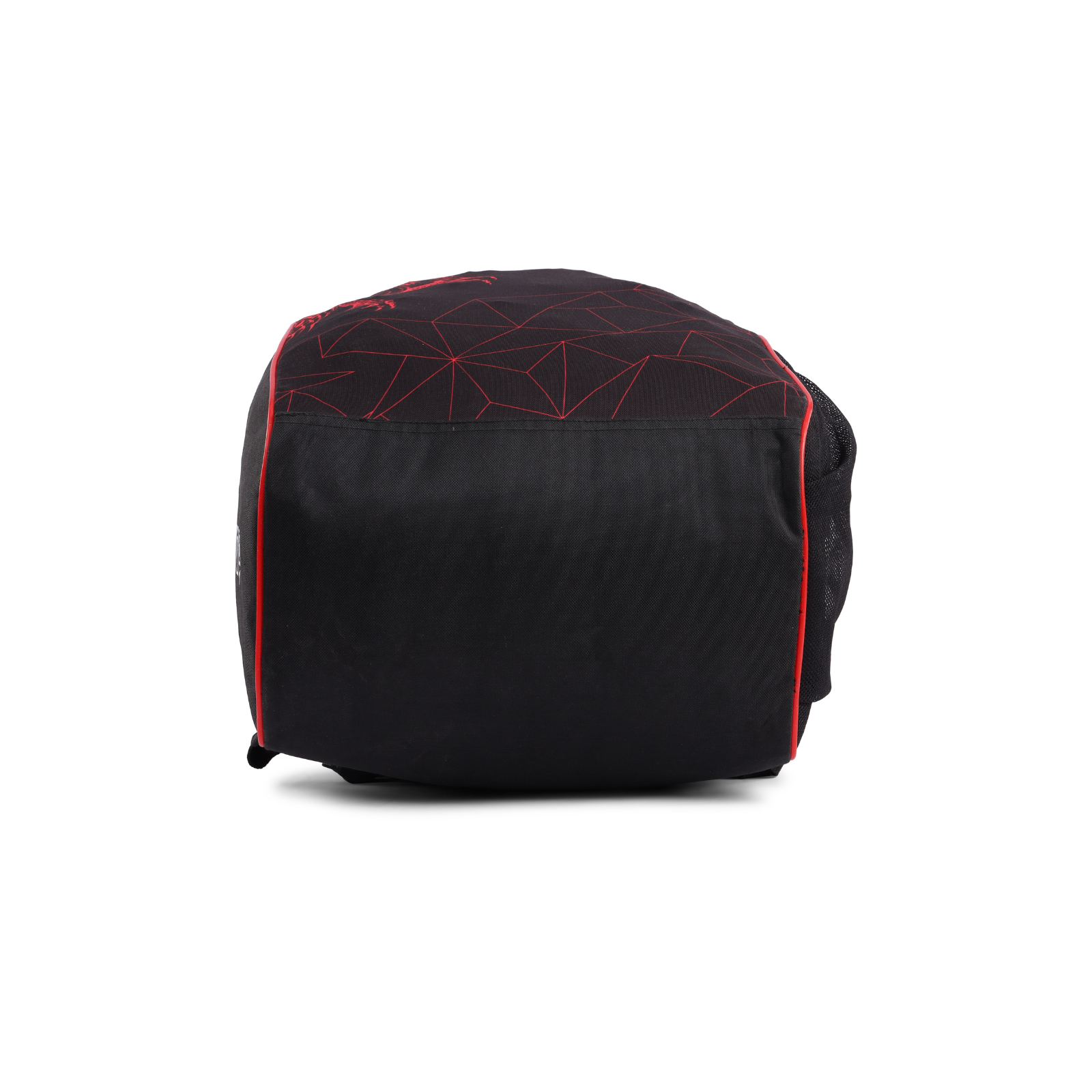 SG Dragon Prodigy 1.0 cricket kit duffle bag packed with bat, pads and helmet