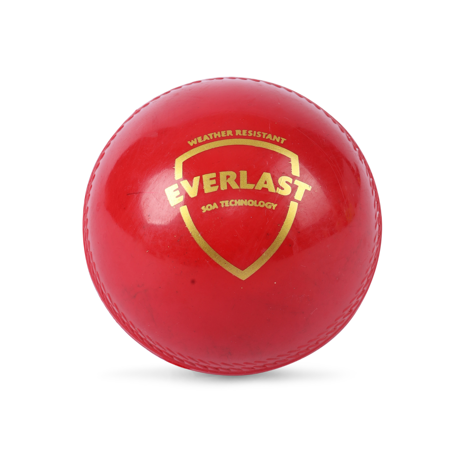 SG Everlast red cricket ball for match practice