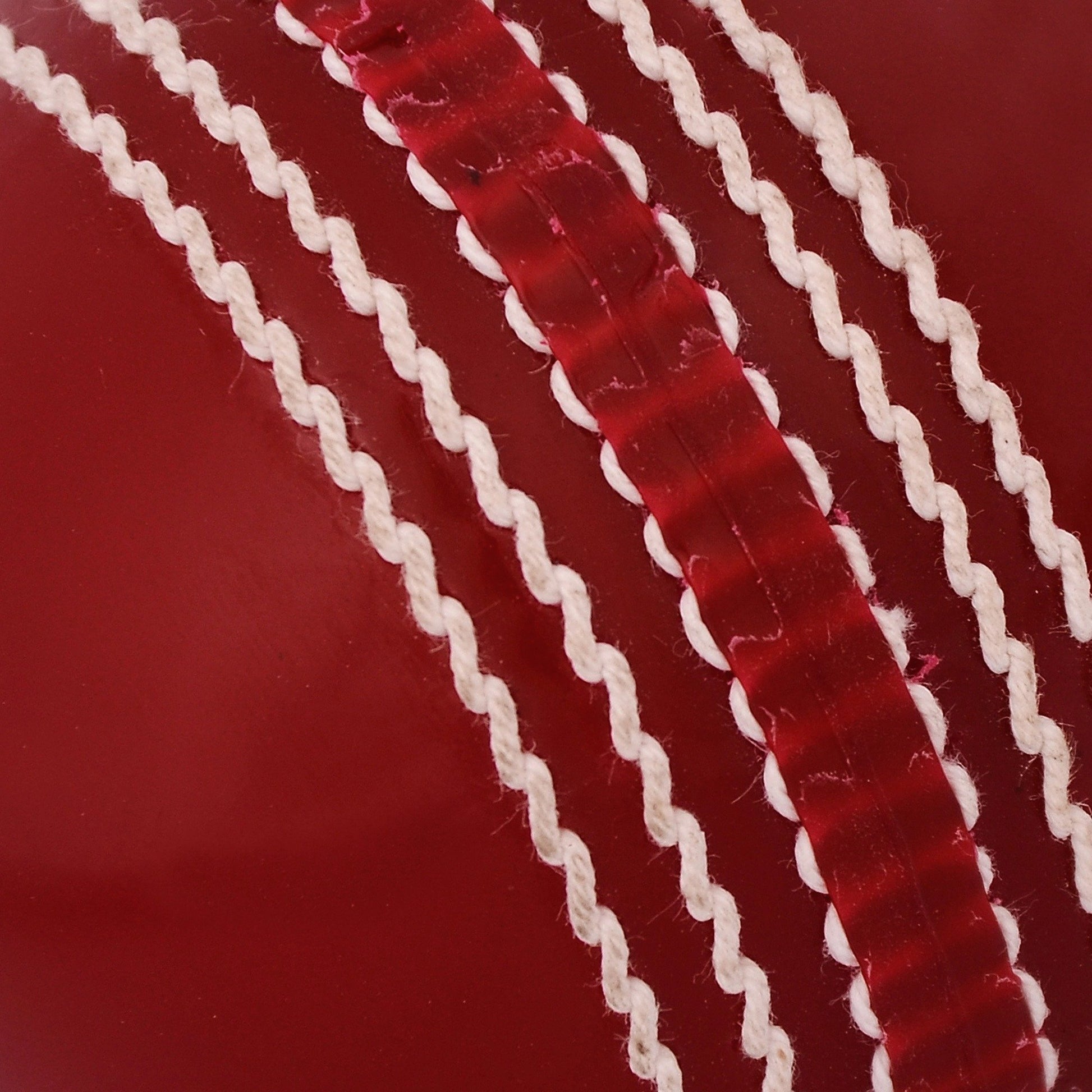 SG Prosoft cricket ball close-up for cricket training