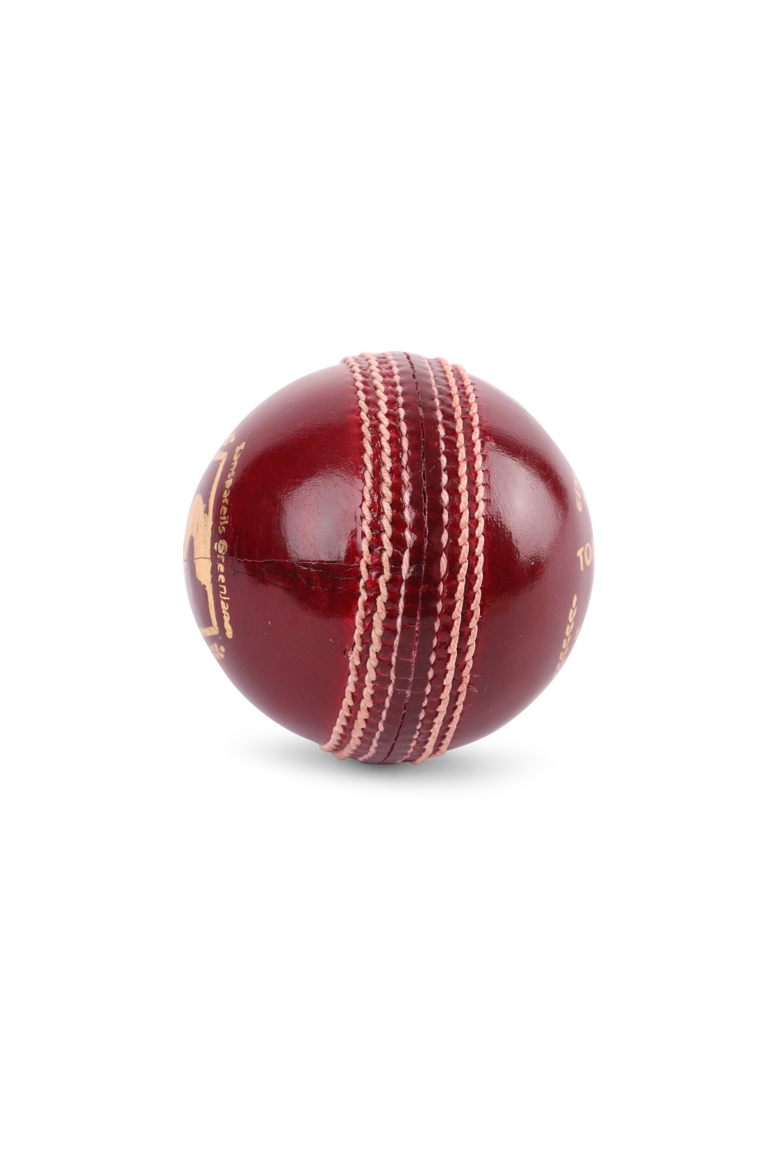 SG Tournament Red cricket ball close-up